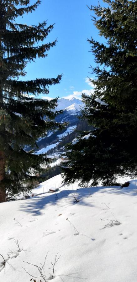 Apart Bergglueck Incl Sommerkarte See Dış mekan fotoğraf
